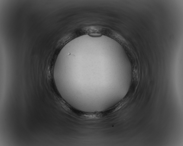 X0000086960381200705071341