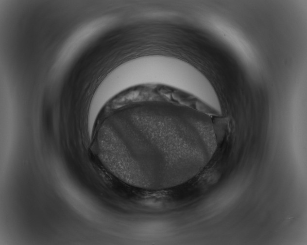 X0000086960382200705071341