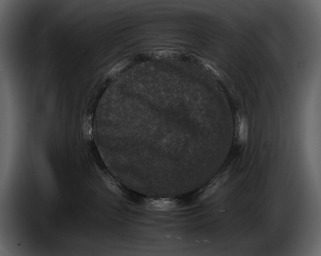 X0000086960383200705071341