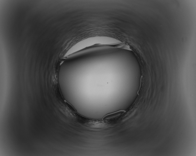 X0000086960384200705071341
