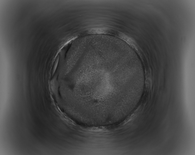 X0000086960386200705071340