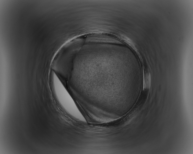 X0000086960387200705071340