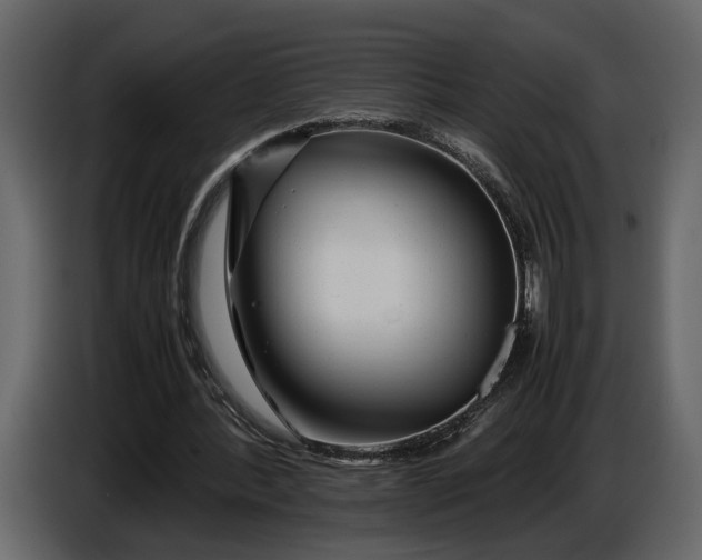 X0000086960388200705071340