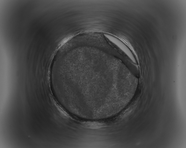 X0000086960389200705071340