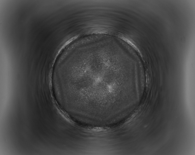 X0000086960390200705071340