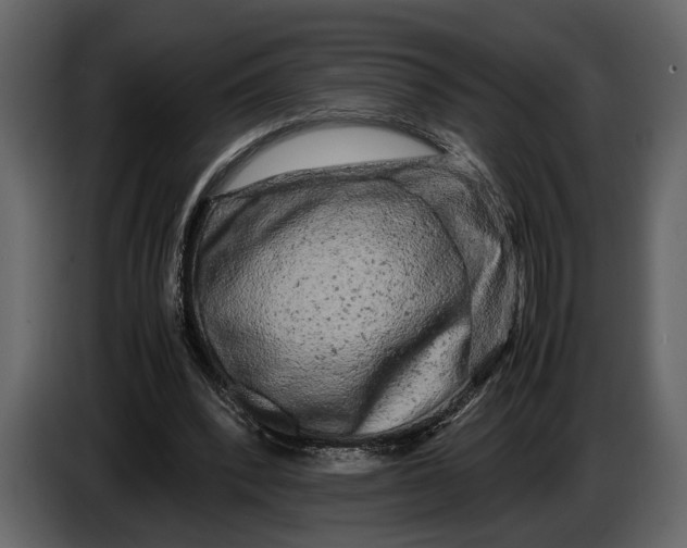 X0000086960392200705071340