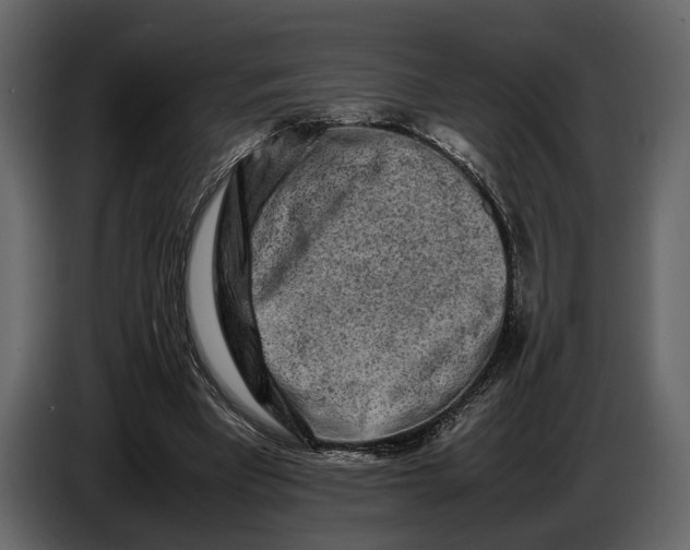 X0000086960393200705071340