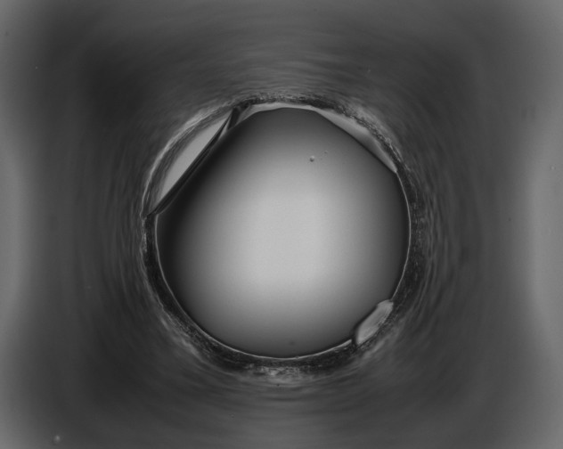 X0000086960395200705071340