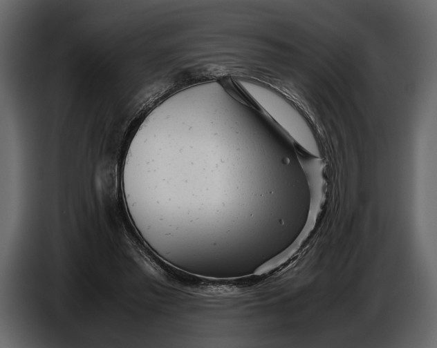 X0000086960397200705071340