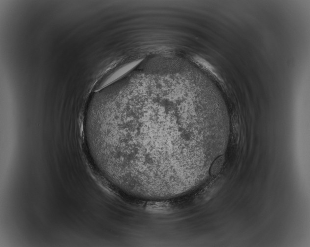 X0000086960398200705071340