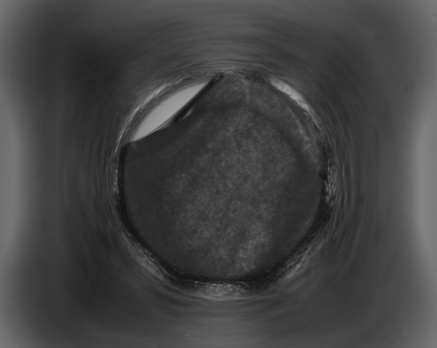 X0000086960399200705071340