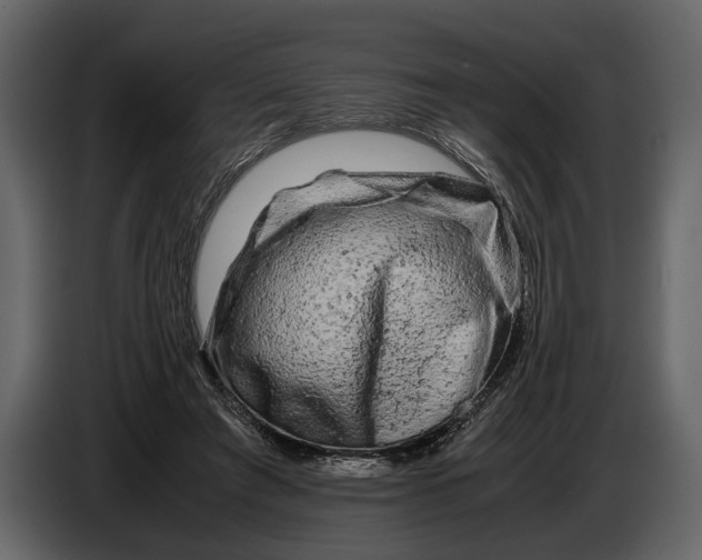 X0000086960401200705071340