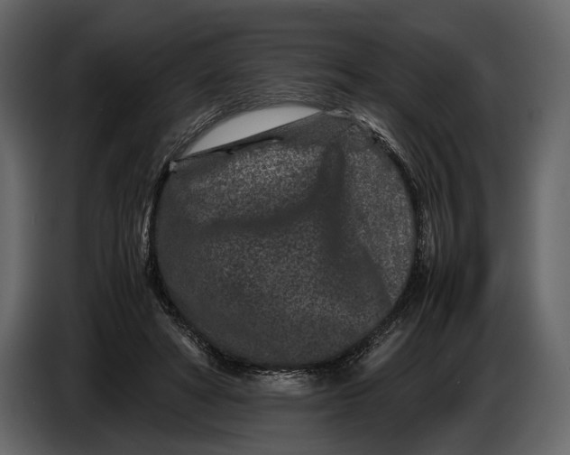 X0000086960402200705071340