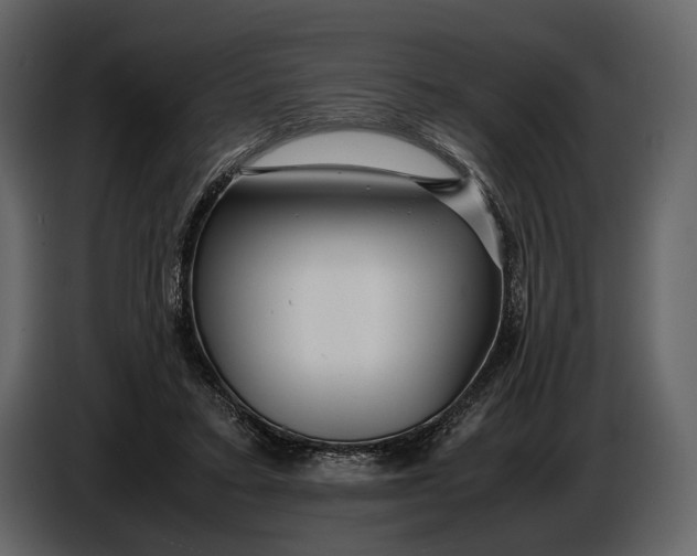 X0000086960403200705071340