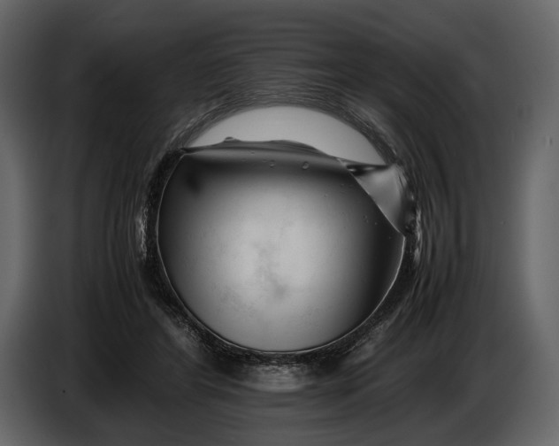X0000086960404200705071340