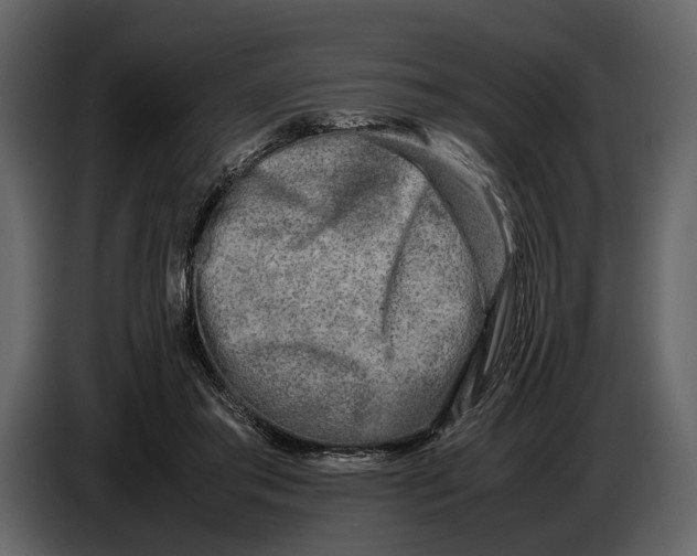 X0000086960405200705071340
