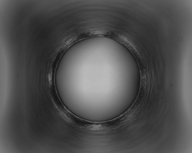 X0000086960406200705071340