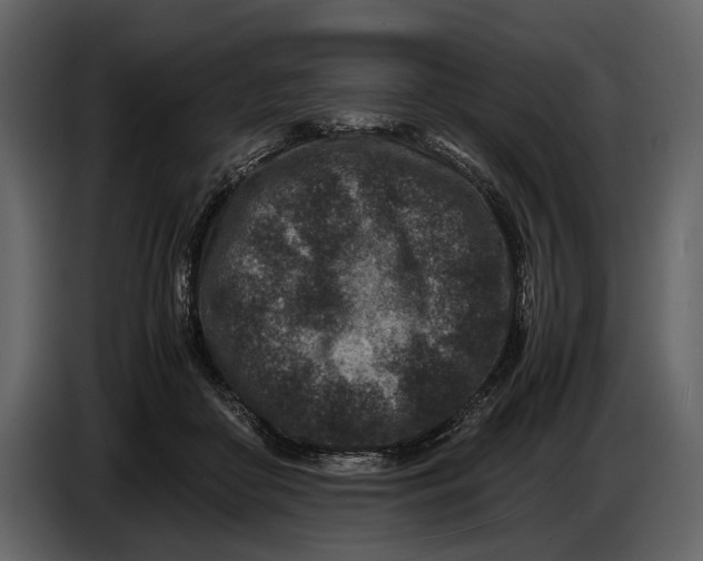 X0000086960410200705071340