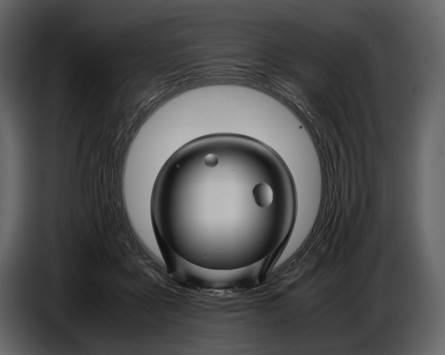 X0000086960411200705071340