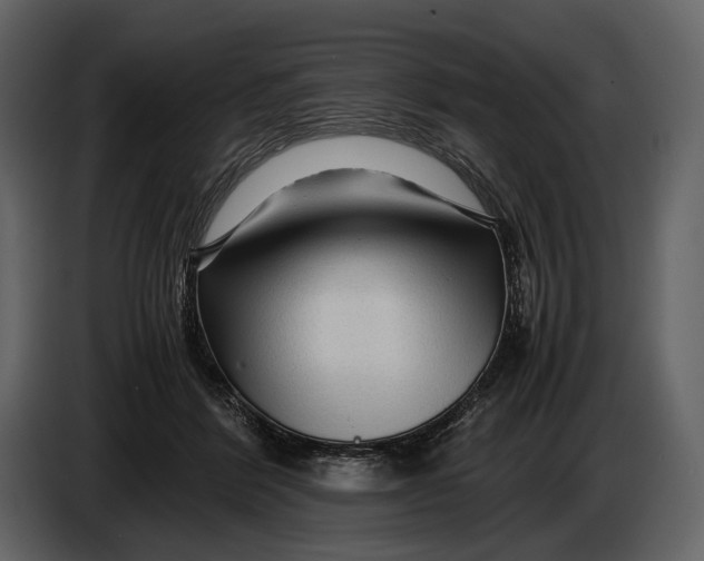 X0000086960412200705071340