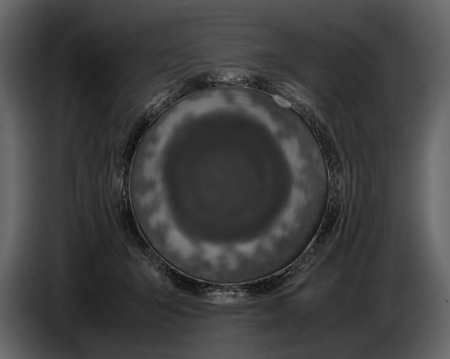 X0000086960415200705071340