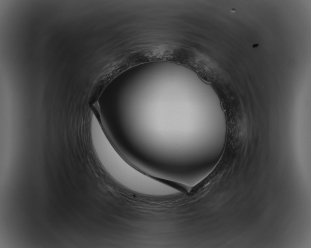 X0000086960416200705071340