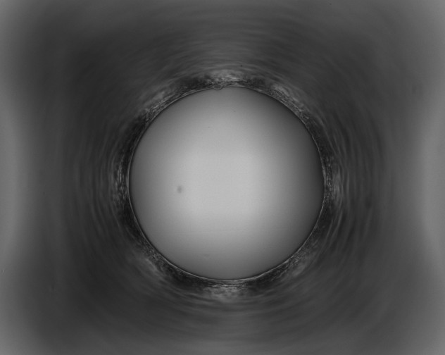 X0000086960418200705071340