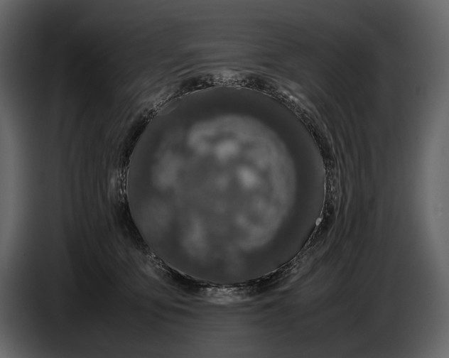 X0000086960419200705071340