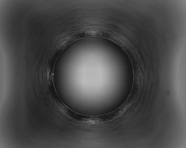 X0000086960420200705071340