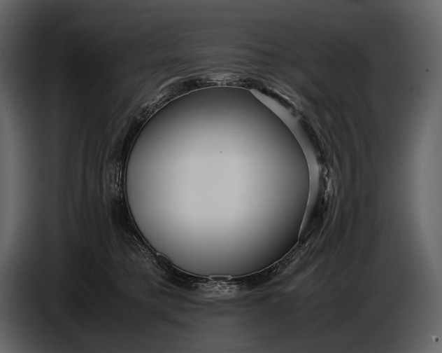 X0000086960421200705071340