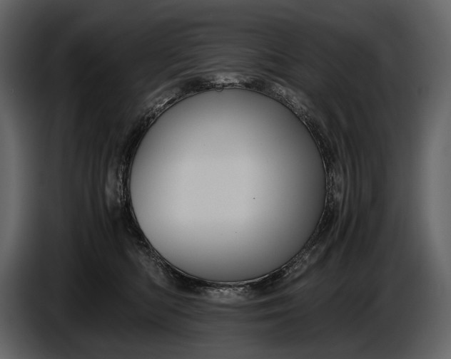 X0000086960422200705071340