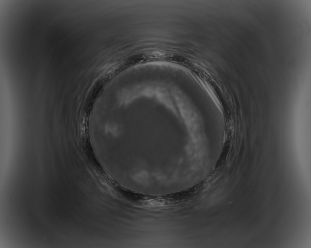 X0000086960423200705071340