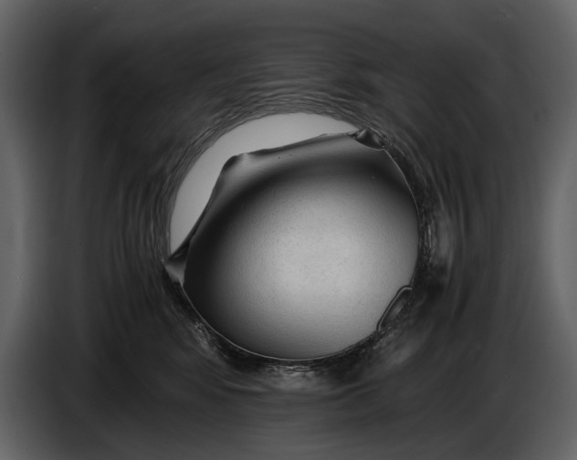 X0000086960424200705071340