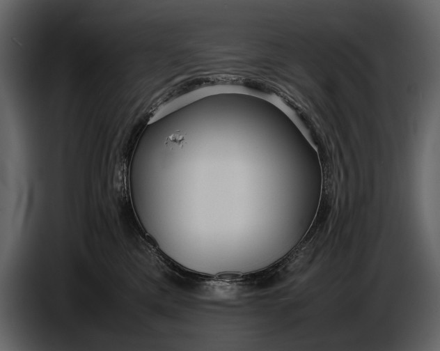 X0000086960425200705071340