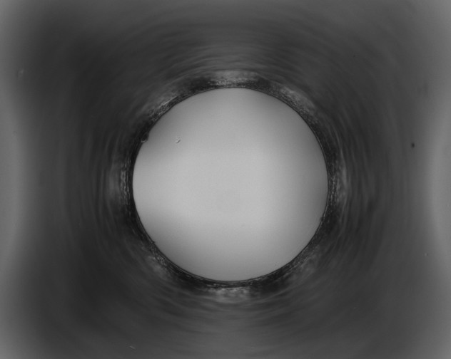 X0000086960426200705071340