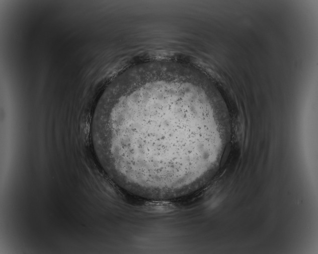 X0000086960427200705071340