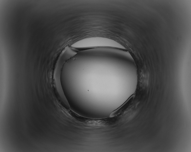 X0000086960428200705071340