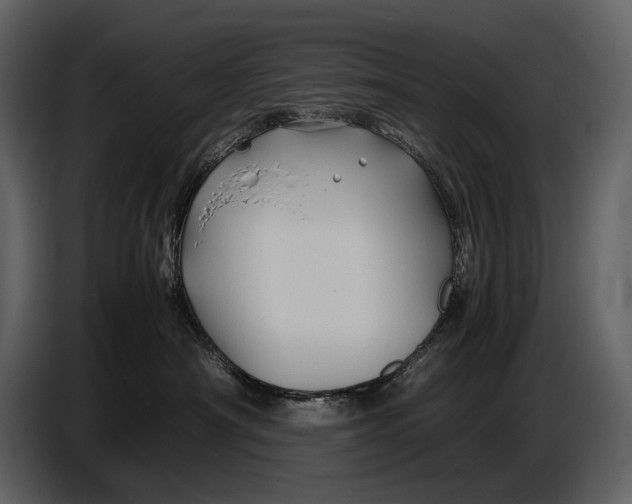 X0000086960430200705071340