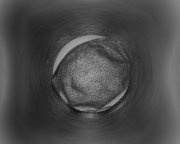 X0000086960432200705071340
