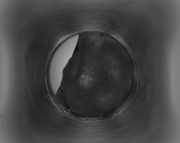 X0000086960434200705071339