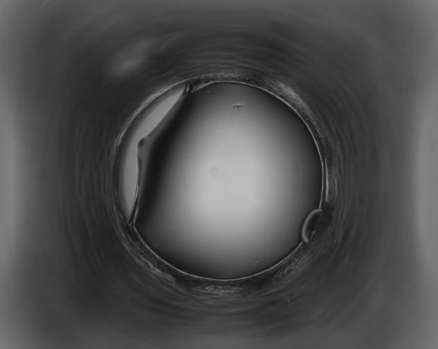 X0000086960435200705071339