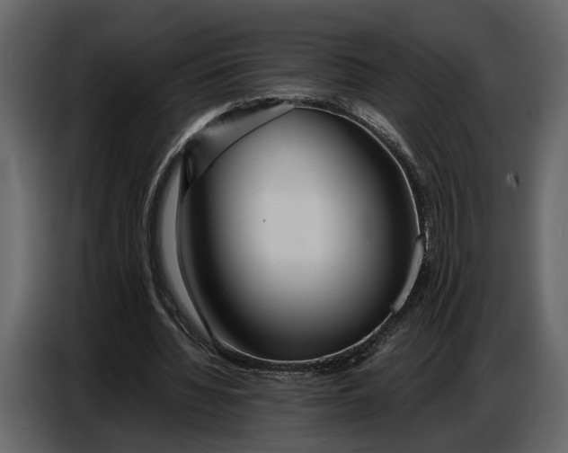 X0000086960436200705071339