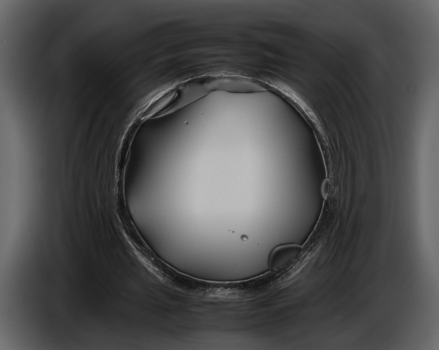 X0000086960437200705071339