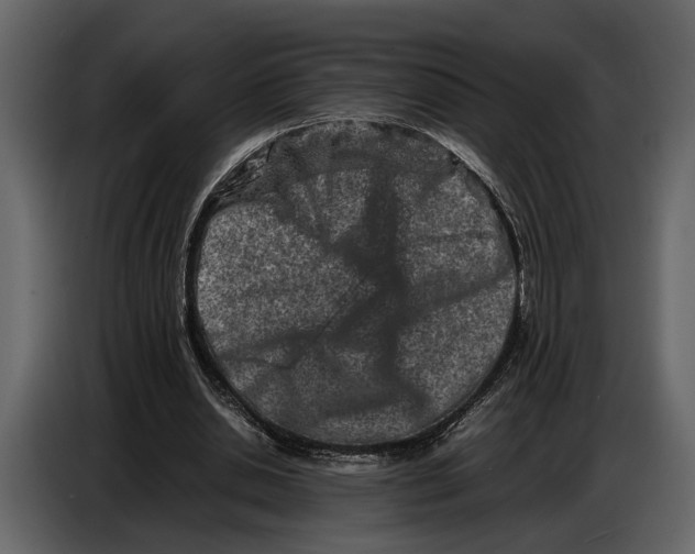 X0000086960438200705071339