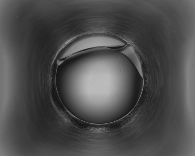 X0000086960440200705071339