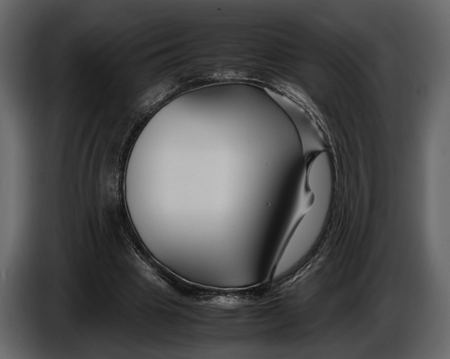 X0000086960441200705071339