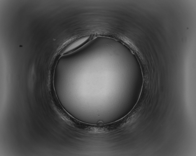 X0000086960442200705071339