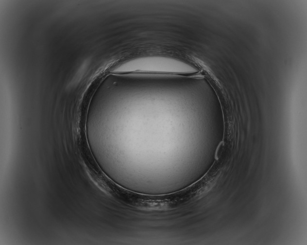X0000086960443200705071339