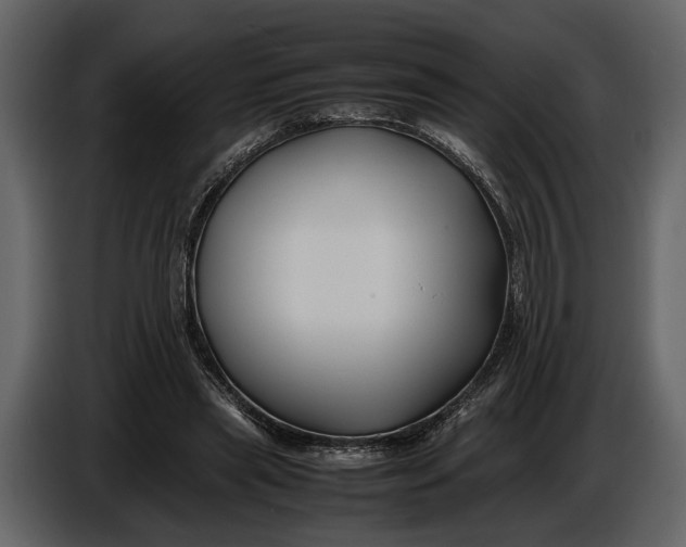 X0000086960445200705071339