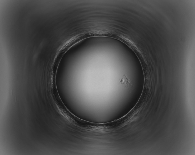 X0000086960446200705071339